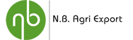 nbexportlogo